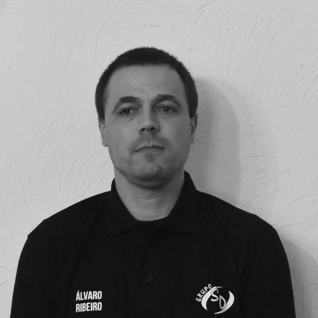 Álvaro Ribeiro
